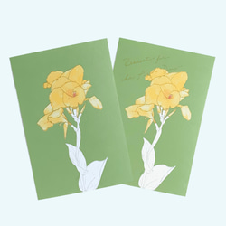 【選べる 敬老の日 or 文字なし】快活と情熱の花　カンナのポストカード 9枚目の画像