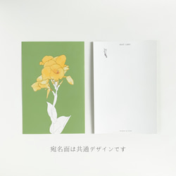 快活と情熱の花　カンナのポストカード　選べる イラストのみ or 敬老の日【A-1】 6枚目の画像