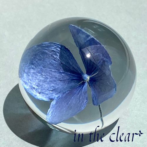 植物標本 紫陽花 青 レジン 4センチ球体 ハーバリウム・植物標本 in 