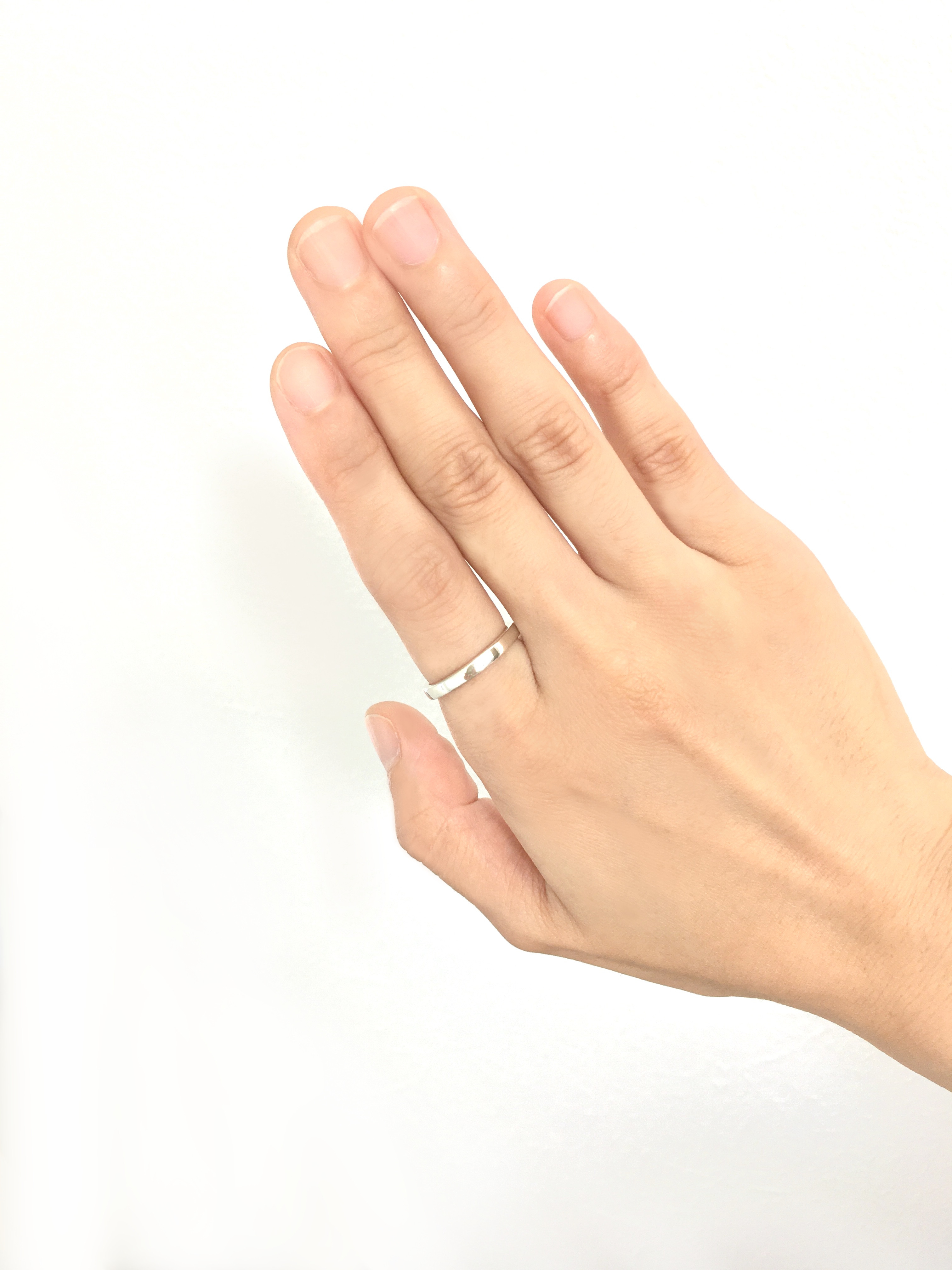 完全防水 遺骨リング プラチナ 幅約3mm ペット 指輪 虹の橋 メモリアルリング 樹脂密封 手元供養 お墓 安い