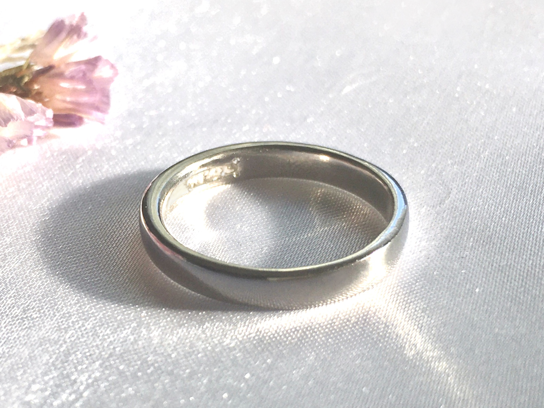 完全防水 遺骨リング プラチナ 幅約3mm ペット 指輪 虹の橋 メモリアルリング 樹脂密封 手元供養 お墓 安い