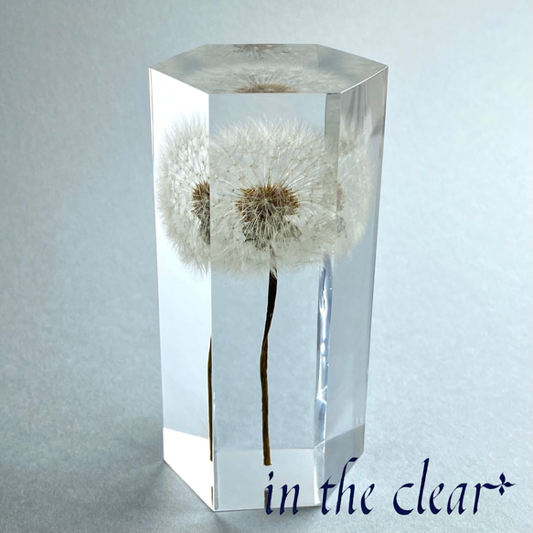 たんぽぽ 陸戦の王者が「たんぽぽ」とは