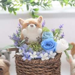 経典 羊毛フェルト犬【柴犬】プリザーブドフラワー 花 フラワー 犬 羊毛フェルト