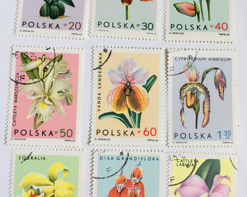 3839 外国切手 ポーランド 1966年 花飾り 3種完 未使用 外国切手 使用済み [ポーランド花切手] 73枚 - メルカリ