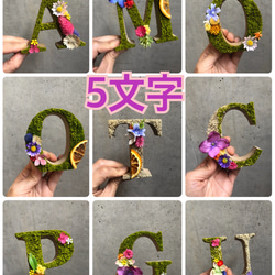 購入前にコメントください様確認用♡イニシャルオブジェ 購入前にコメントください様専用♡アルファベットオブジェ