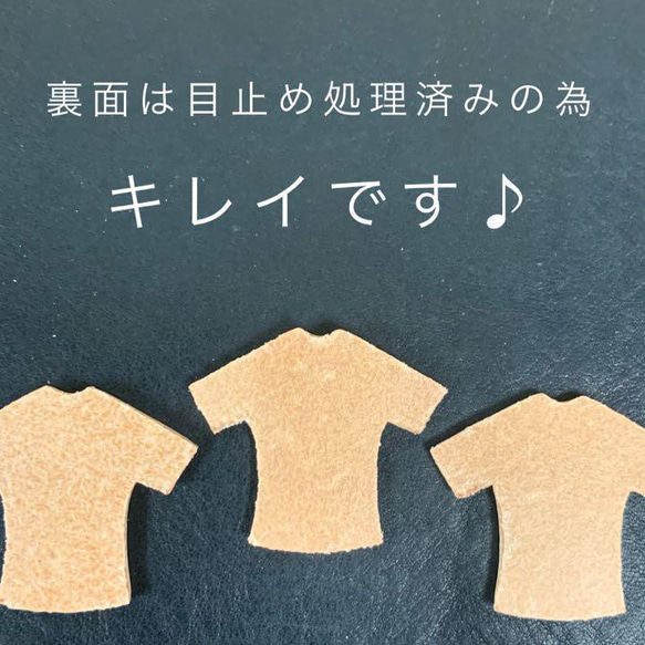 ヌメ革　Tシャツ（M）Ｃ級　４５枚セット 3枚目の画像