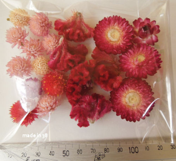 ドライフラワー 千日紅 ケイトウ 貝細工 キャンドル リース 材料 花材 