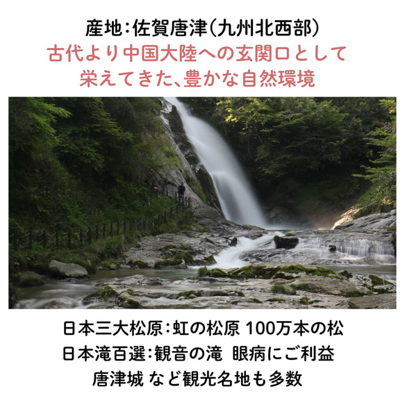 【アマゾン1位】幻の黒イチジク"ビオレソリエス"フルーツチョコレート｜富田農園 バレンタイン お歳暮 11枚目の画像