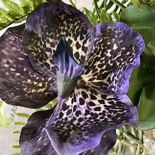 光触媒　人工観葉植物　ウォールグリーン　フェイク　バンダオーキッドアレンジ 光触媒 人工観葉植物 ウォールグリーン フェイク フラワー