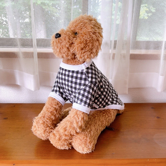 犬服　ギンガムチェックTシャツ　ブラック 8枚目の画像