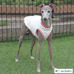 ココ　イタグレ服　ハンドメイド オーダーページ】イタグレ服 ハンドメイド ロンパース イタグレ