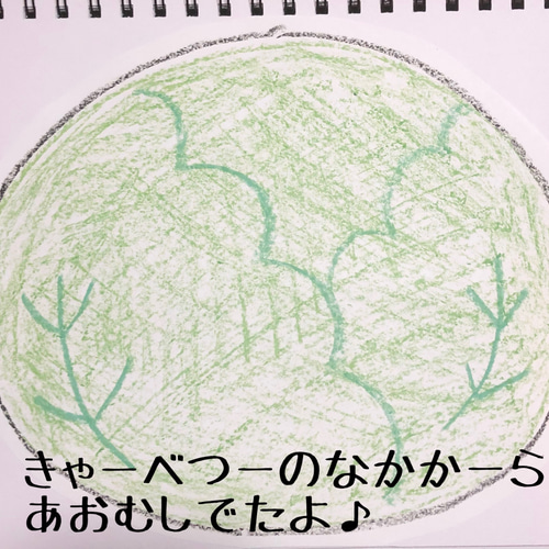 キャベツの中から あおむし 手袋シアター パネルシアター ペープサート