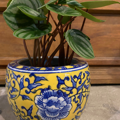 2点セット フラワー・ガーデニング シノワズリ 染付鉢