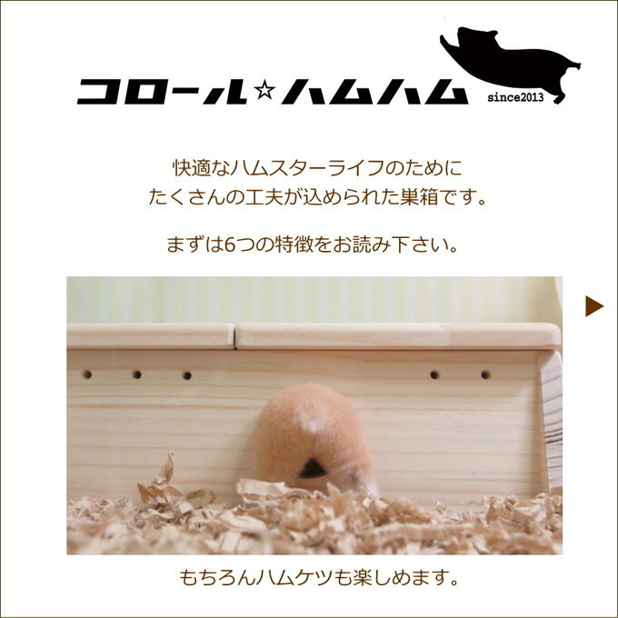 こだわりのポイント