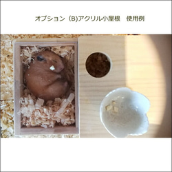 0805 ゴールデンハムスターの木のお家プラス 8枚目の画像