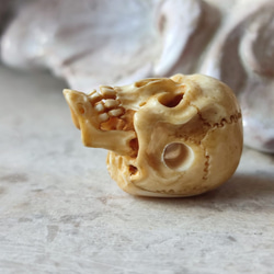 【店主コレクション放出品6】【好々爺髑髏珠】【数珠用】【3mm横穴】牙彫刻　髑髏 骷髅 骸骨 skull スカル 5枚目の画像