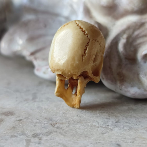 店主コレクション放出品6】【好々爺髑髏珠】【数珠用】【3mm横穴】牙