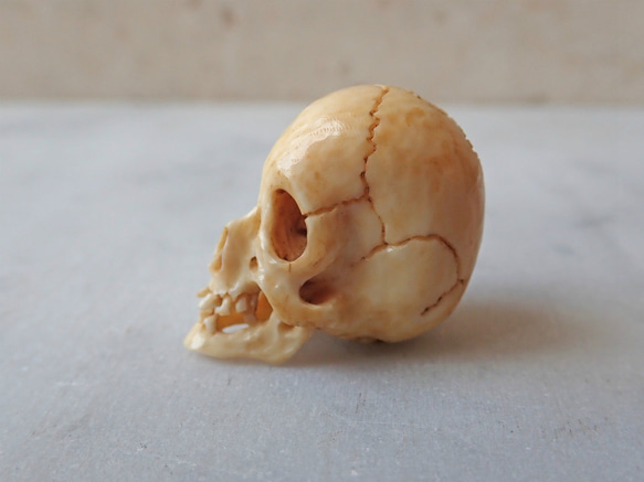 【店主コレクション放出品7】【好々爺髑髏2】牙根付　髑髏 骷髅 骸骨 skull netsuke スカル 根付 5枚目の画像