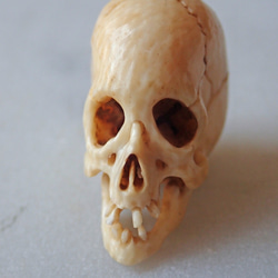 【店主コレクション放出品7】【好々爺髑髏2】牙根付　髑髏 骷髅 骸骨 skull netsuke スカル 根付 2枚目の画像