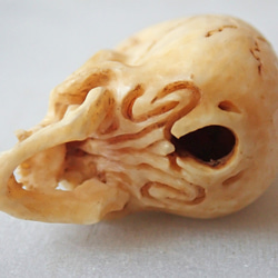 【店主コレクション放出品7】【好々爺髑髏2】牙根付　髑髏 骷髅 骸骨 skull netsuke スカル 根付 13枚目の画像