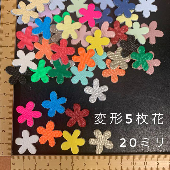 第1張的照片