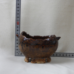 茶卵植木鉢(L) 17枚目の画像