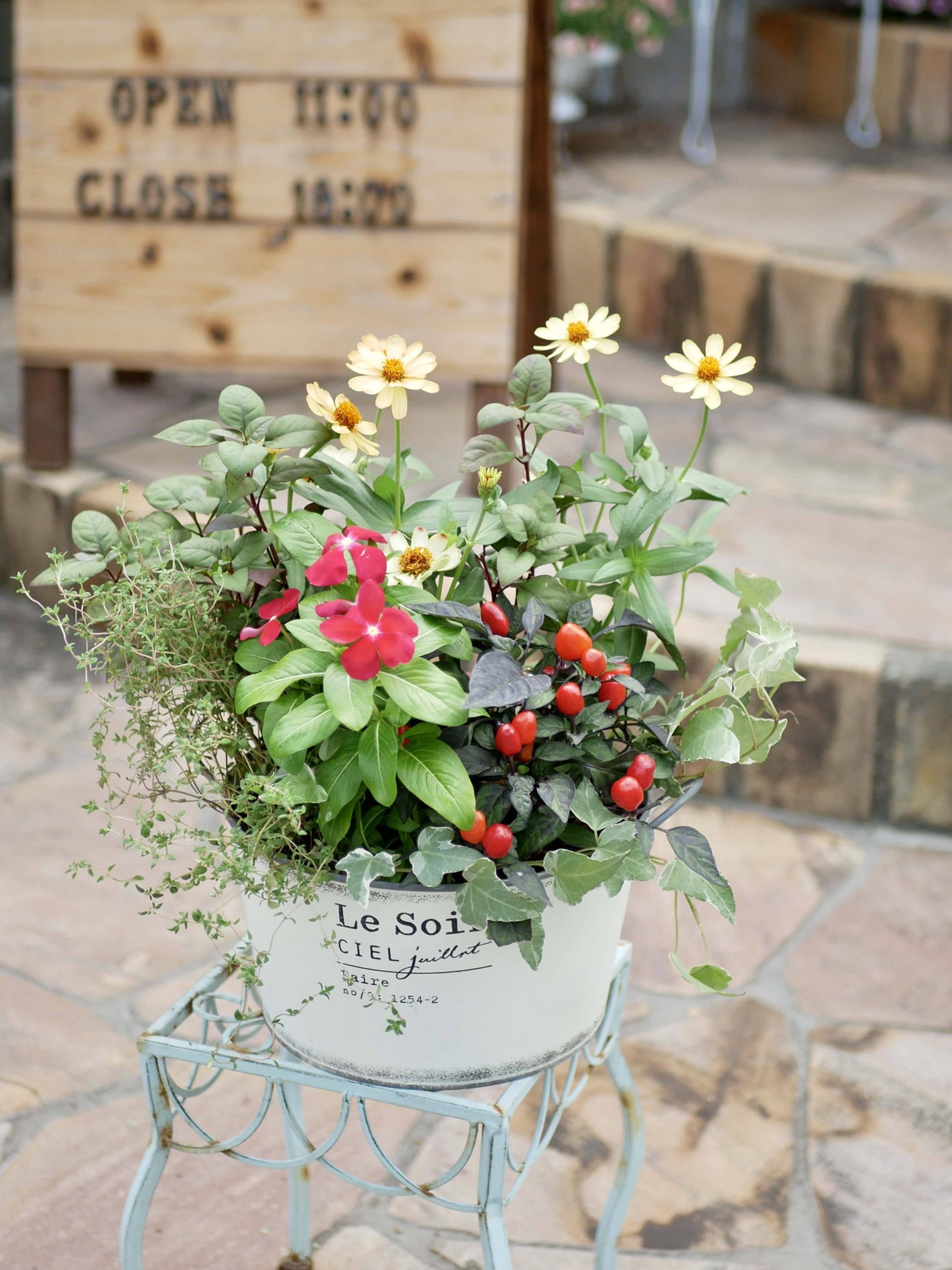 存在感抜群♪ 鳥かご 秋の寄せ植え Planting] Absolutely cute! Recommended birdcage strategies