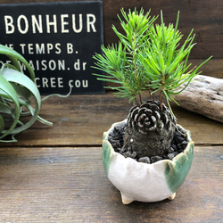 85e36acf49dbf981c8211bcdb2cc5a