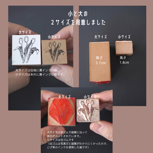 3種類セット（ばら・チューリップ・ワックスフラワー） ボタニカル