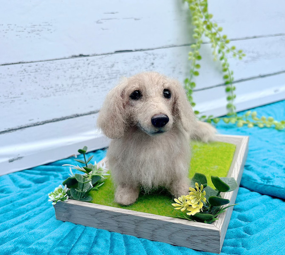 オーダー　愛犬　♡ダックス　♡ずっとそばに　♡世界でたった一つ♡再現　メモリアル 3枚目の画像