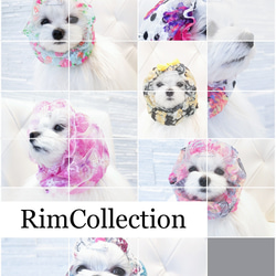 犬用スヌード☆刺繍レースレギュラータイプ☆小型犬用 3枚目の画像