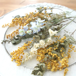 ミモザ ドライフラワー 花材 詰め合わせ セット 【A5】※ミモザはパール