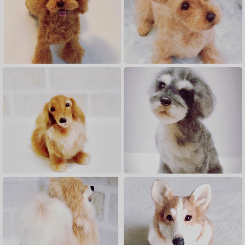 愛犬さんの羊毛フェルトオーダー・マロンチョコ様ご確認専用ページ 愛犬さんの羊毛フェルトオーダー専門・オーダー受付・わんちゃん