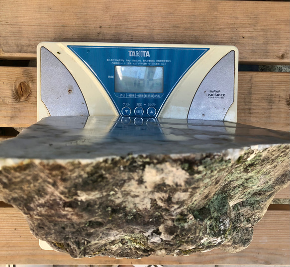 国宝　最高級糸魚川ロンカン質翡翠 