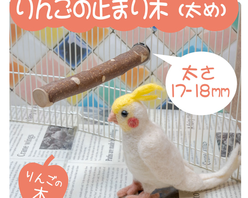 インコちゃんの✩.*˚りんごの止まり木 シンプルパーチ太め 17