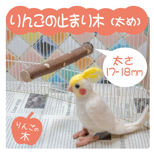@1　自然素材 インコちゃんお迎え色々お試しセット　バードトイ　バルサ　止まり木 1 自然素材 インコちゃんお迎え色々お試しセット バードトイ
