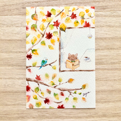 透明水彩画　秋のポストカード　5枚セット　紅葉　クマ　うさぎ　ウサギ　猫　ネコ　鹿　敬老の日　敬老の日カード　 3枚目の画像