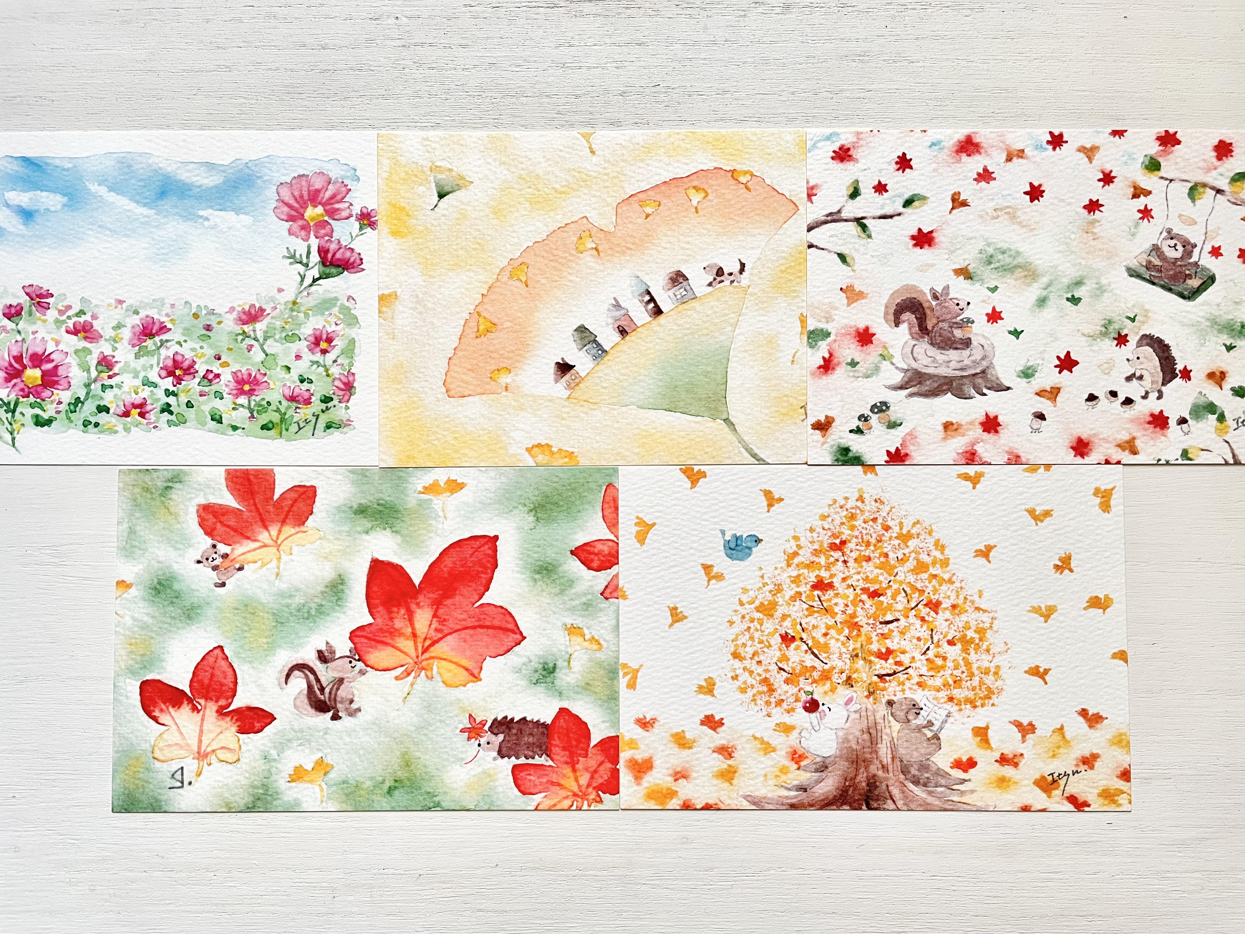 透明水彩画 秋のポストカード 5枚セット 紅葉 コスモス 秋桜 花