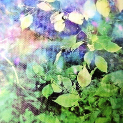 「グリーンワールド」　アート　インテリア　写真　カンバス　キャンバスプリント　緑　癒し　グリーン　雑貨　コンパクト　 2枚目の画像