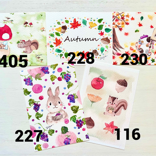 透明水彩画 秋のポストカード 5枚セット リス りす キノコ