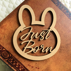 Just Bornレターバナー　レターバナー　JustBorn　ニューボーン　出産準備　月齢フォト 2枚目の画像