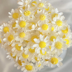 スターフラワーブロッサム ミルクティーブラウン ヘッド 30個 花材