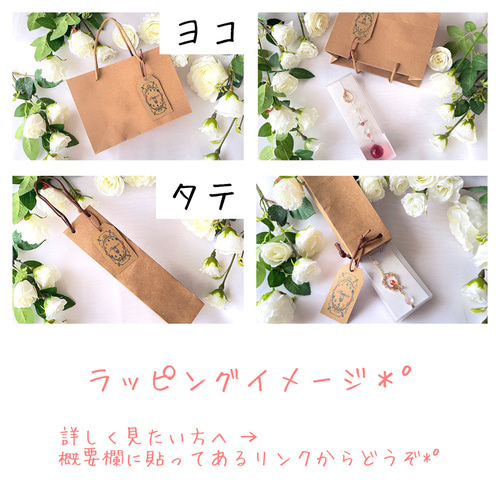 22.✩.*˚無題 サンキャッチャー サンキャッチャー Plenum(プレヌム