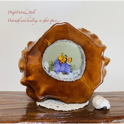 海の世界を閉じ込めた流木アート カクレクマノミ 水中ジオラマ 流木 レジン テラリウム アクアリウム インテリア N3 1枚目の画像