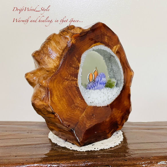 海の世界を閉じ込めた流木アート カクレクマノミ 水中ジオラマ 流木 レジン テラリウム アクアリウム インテリア N3 6枚目の画像