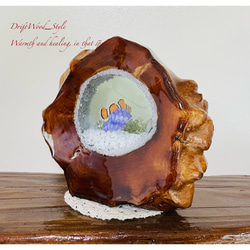 海の世界を閉じ込めた流木アート カクレクマノミ 水中ジオラマ 流木 レジン テラリウム アクアリウム インテリア N3 7枚目の画像