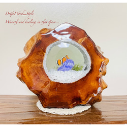 海の世界を閉じ込めた流木アート カクレクマノミ 水中ジオラマ 流木 レジン テラリウム アクアリウム インテリア N3 5枚目の画像