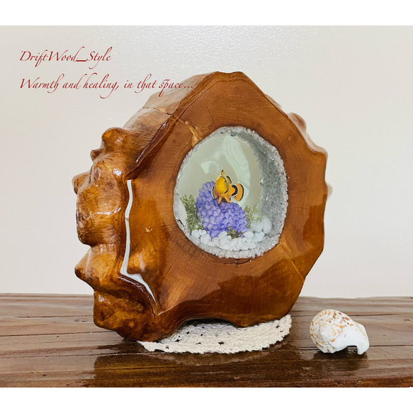 海の世界を閉じ込めた流木アート カクレクマノミ 水中ジオラマ 流木 レジン テラリウム アクアリウム インテリア N3 3枚目の画像