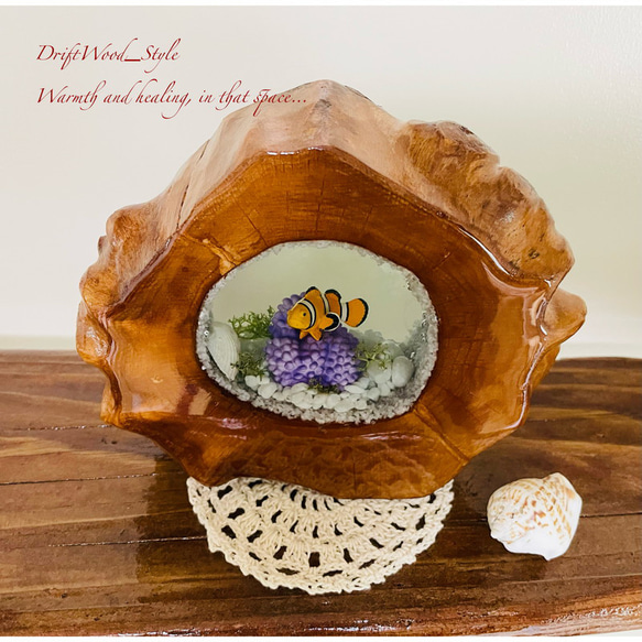 海の世界を閉じ込めた流木アート カクレクマノミ 水中ジオラマ 流木 レジン テラリウム アクアリウム インテリア N3 2枚目の画像