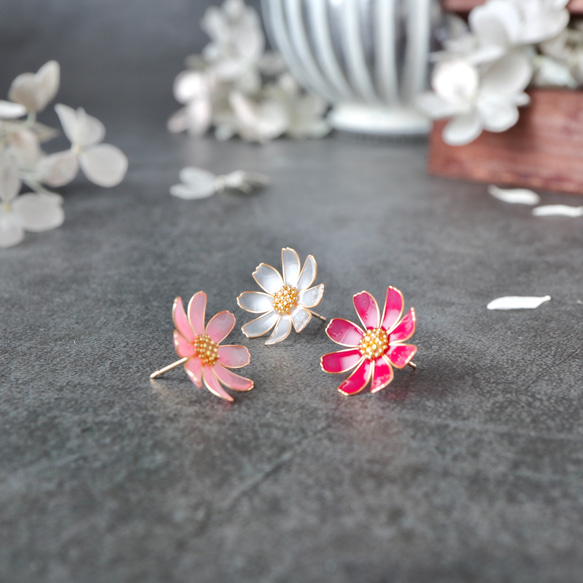 秋桜 －Cosmos－ 1枚目の画像